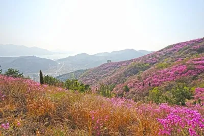 여수 영취산 흥국사 일원, 국가지정자연유산 명승으로 지정 예고