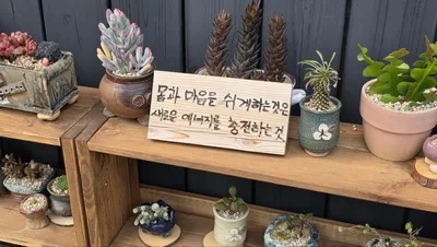 청년의 ‘쉬었음’은 무가치함과 싸우는 마음이다