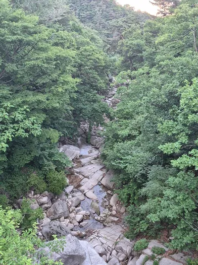 강북의 숲은 자산이다